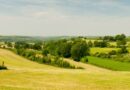 boek goedkoop je vakantiehuis in limburg voor de voorjaarsvakantie in 2026