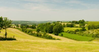 boek goedkoop je vakantiehuis in limburg voor de voorjaarsvakantie in 2026